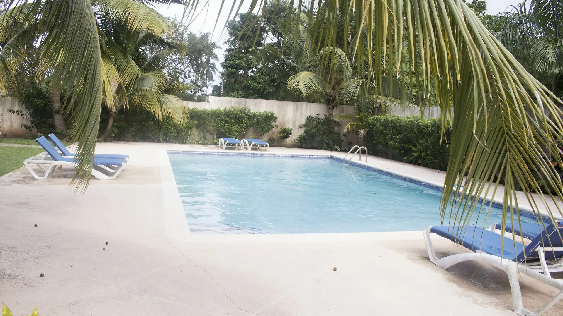 Pine Hurst Suites Montego Bay Appartamento